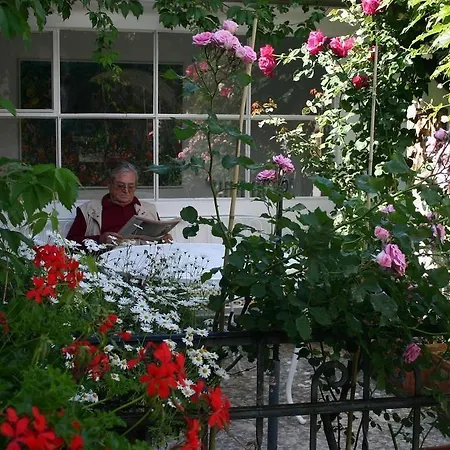 Olevano Guest house *