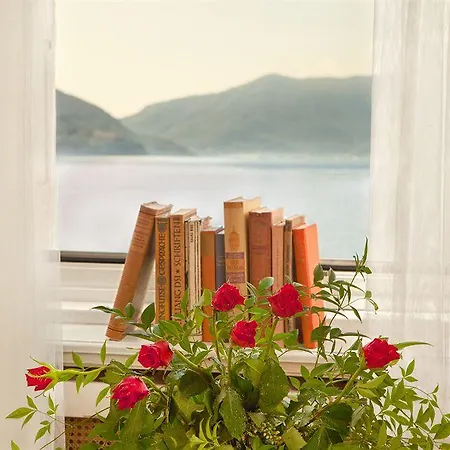 Olevano Guest house *